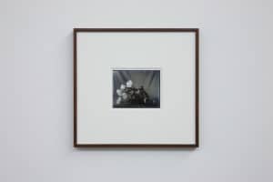 Elegy, 2012, digital print from glass plate negative ca 1920, framed 40 x 37cm