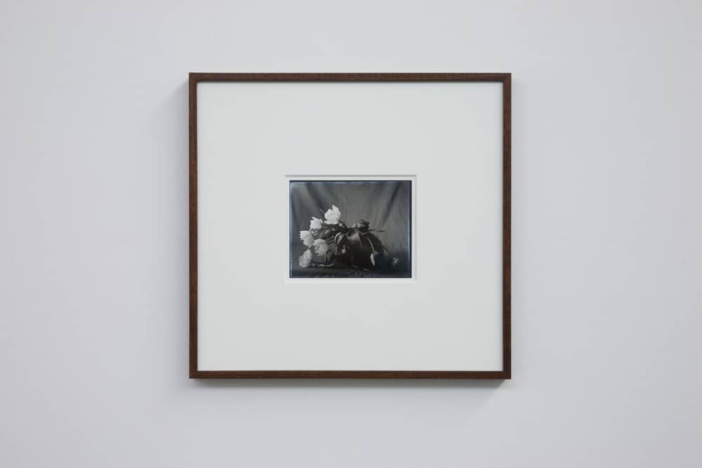 Elegy, 2012, digital print from glass plate negative ca 1920, framed 40 x 37cm