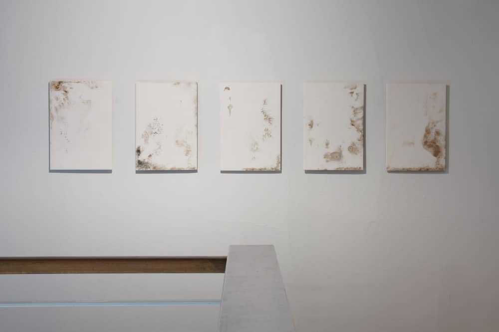 Untitled (Bruises), 2011, plaster, lace, coffee, cigarette ash, (each) 33 x 27cm