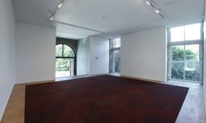 Untitled (Blood Dust), 2011, blood, dimensions variable