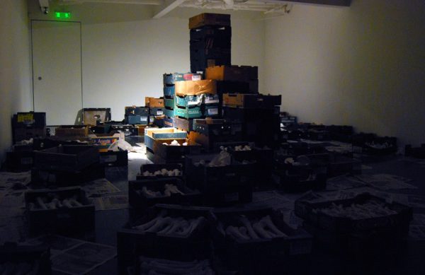 Untitled (bone installation), 2008, plaster, cardboard boxes, newspaper, dimensions variable