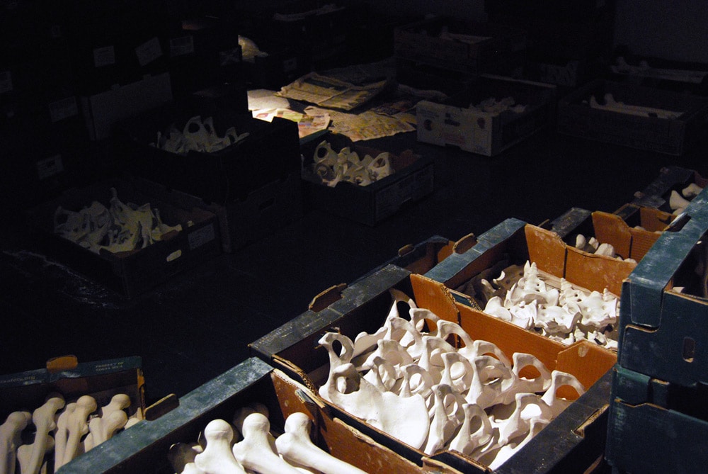 Untitled (bone installation), 2008, plaster, cardboard boxes, newspaper, dimensions variable