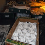 Untitled (bone installation), 2008, plaster, cardboard boxes, newspaper, dimensions variable