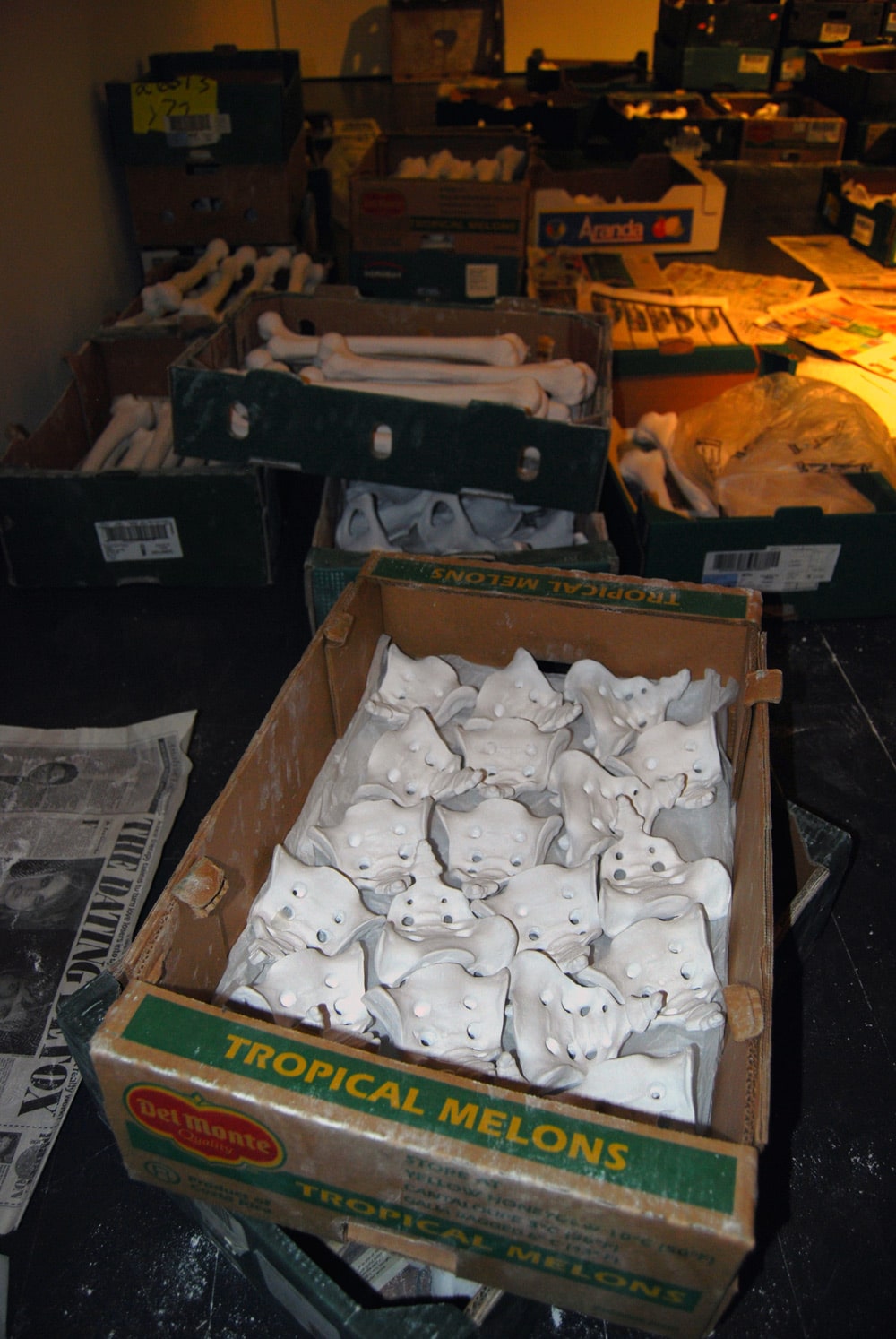 Untitled (bone installation), 2008, plaster, cardboard boxes, newspaper, dimensions variable