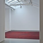 Untitled (Blood dust), 2010, blood, dimensions variable