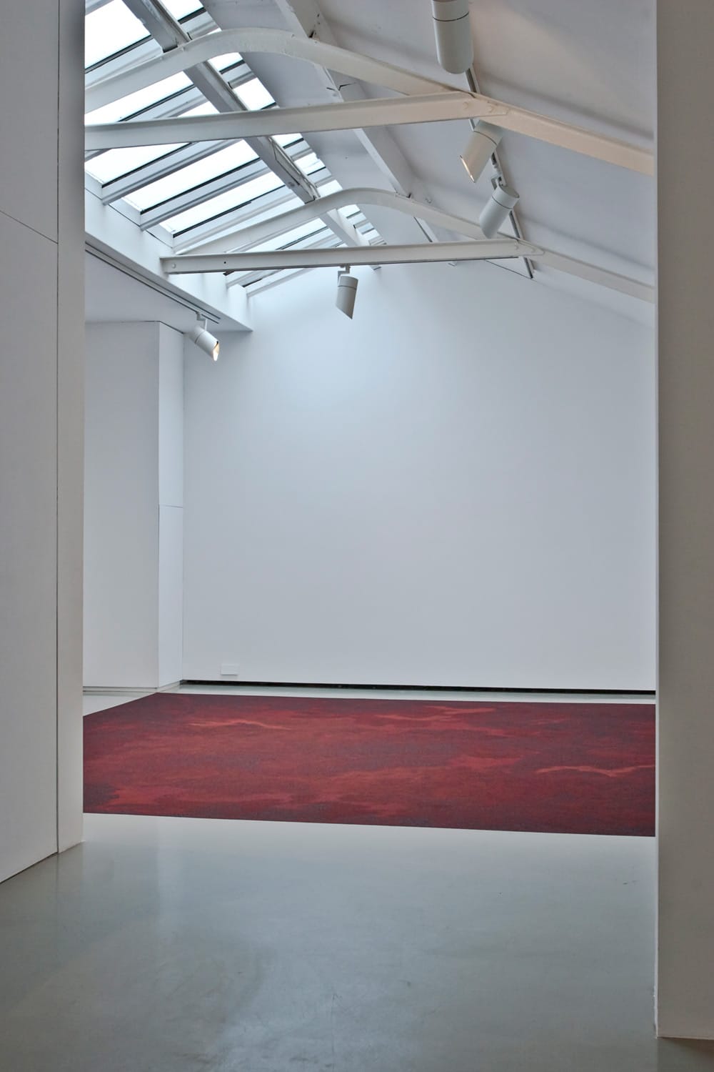 Untitled (Blood dust), 2010, blood, dimensions variable