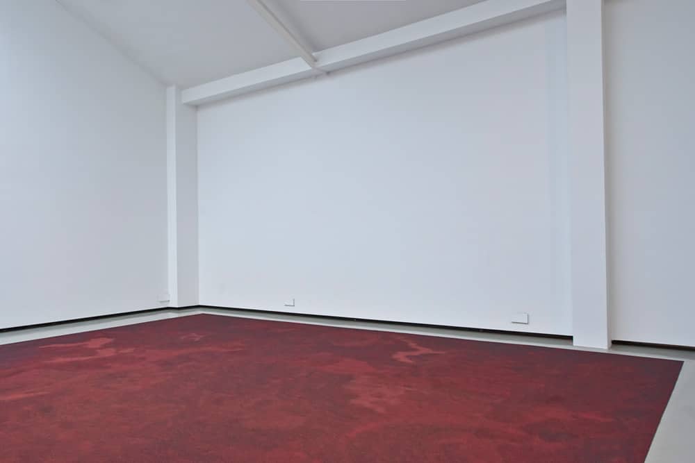 Untitled (Blood dust), 2010, blood, dimensions variable