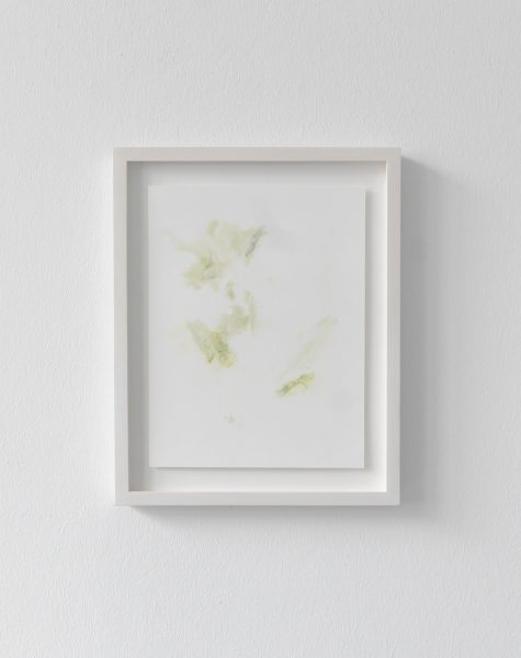 Untitled (Study) IV, 2013, flower stain on watercolour paper, framed 37 x 27cm