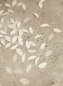 Fallen, 2016, porcelain, ash, dimensions variable